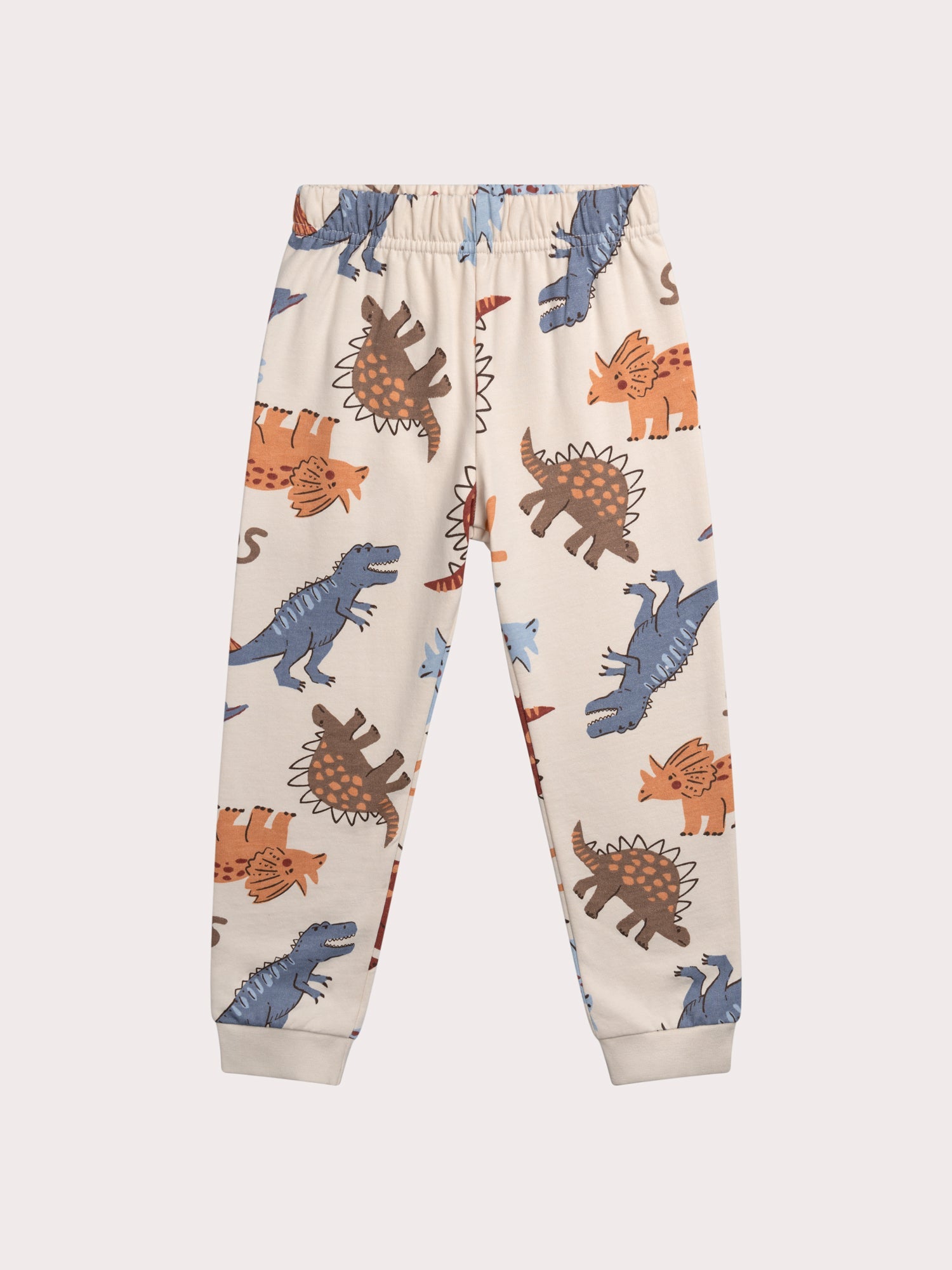 Pijama Dinosaurio Niño | El favorito de los Pequeños Exploradores Prehistóricos